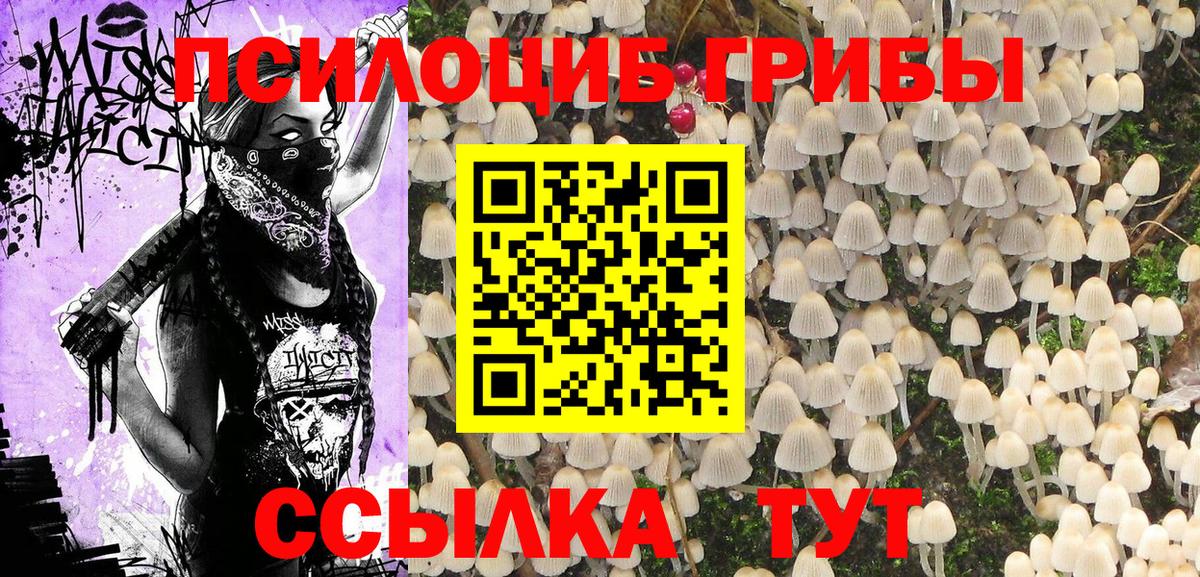 Галлюциногенные грибы ЛСД Отрадное